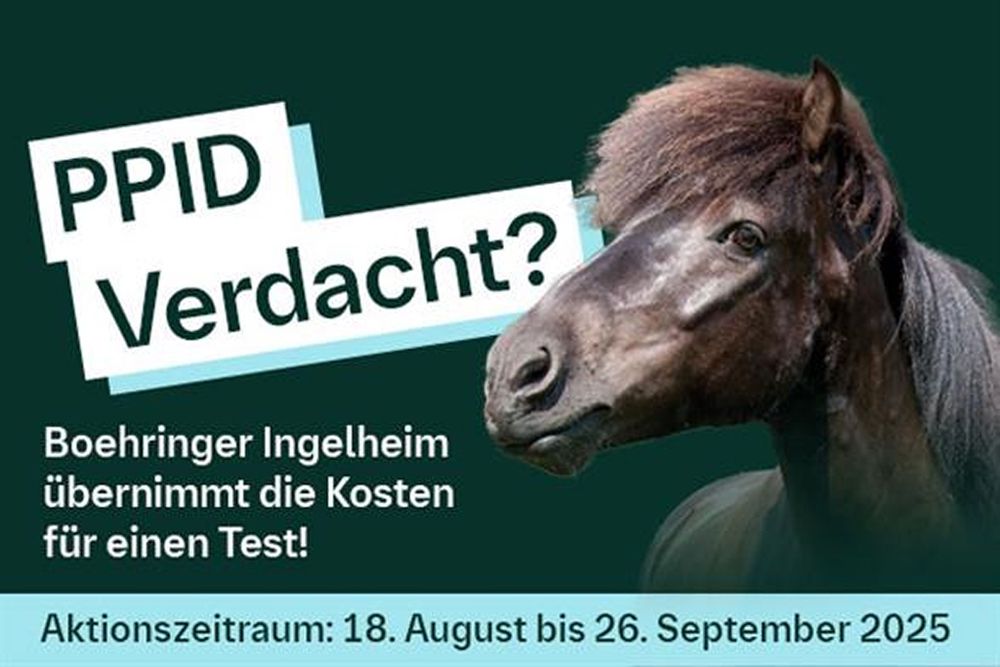 Porträt eines dunklen Pferdes neben einem Hinweistext zur kostenlosen Übernahme von PPID-Testkosten